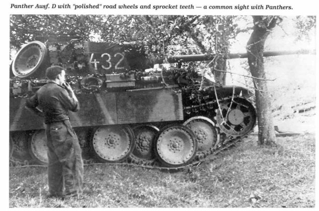 пантера катки потертости.jpg